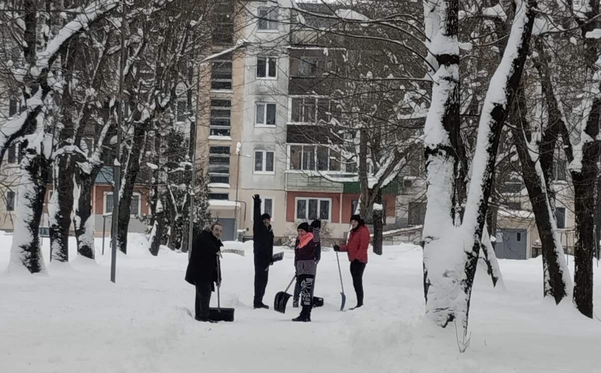 Покорители снега