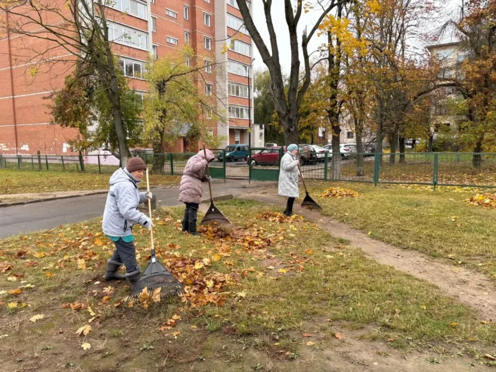 SnapInsta.to_566807639_18143035264441030_2218331397510656626_n