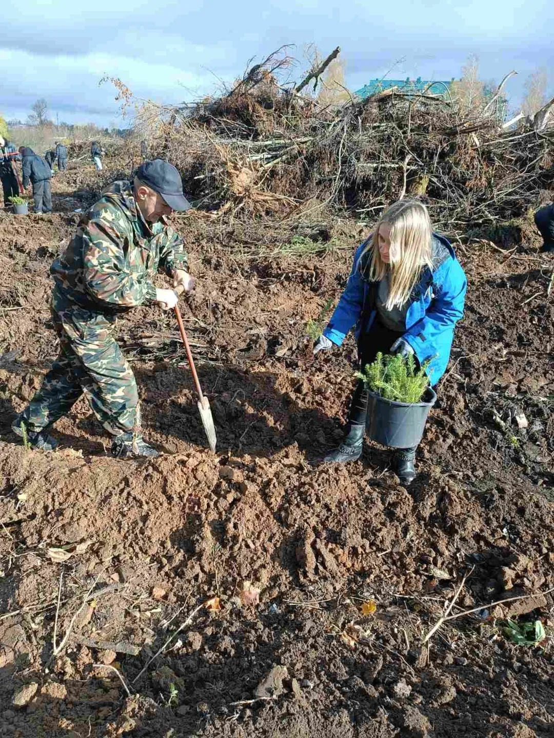 Дай лесу новае жыццё!