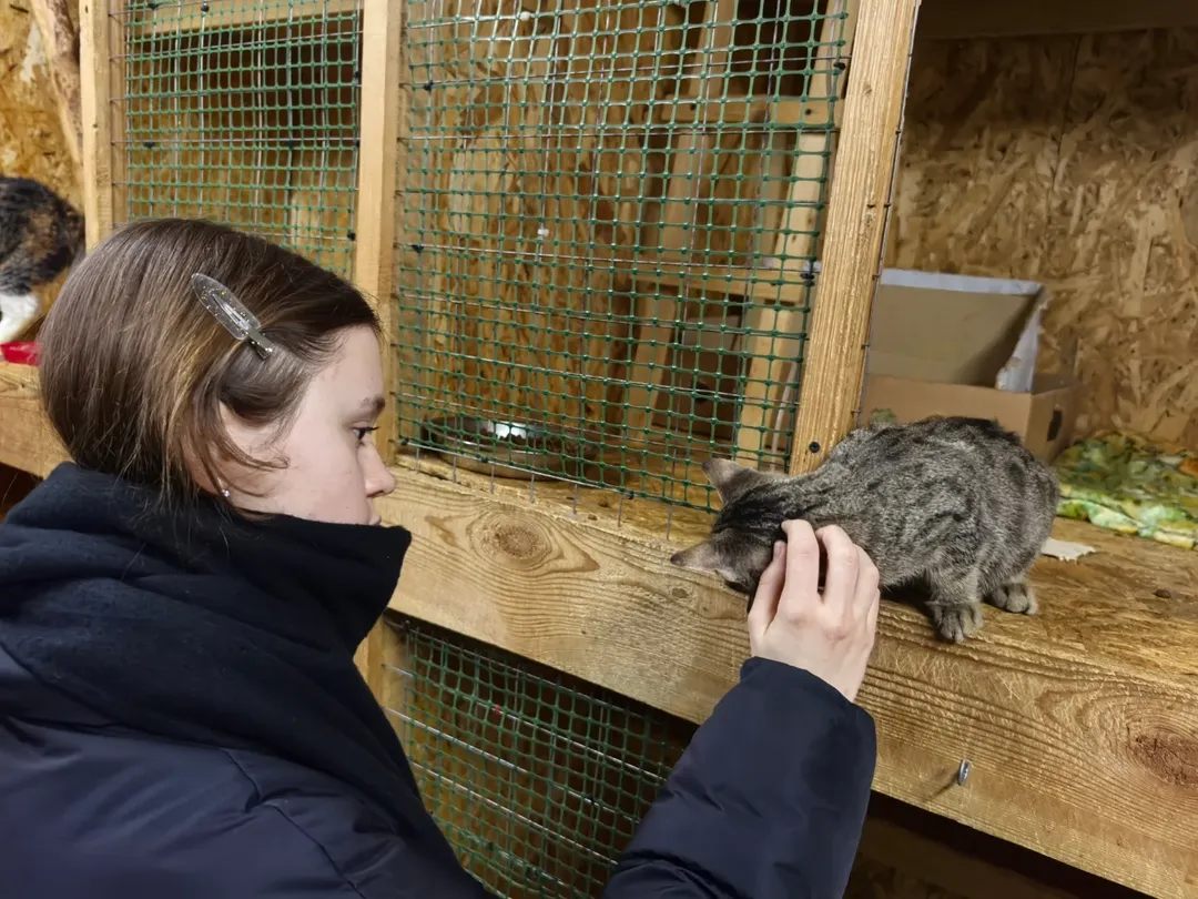 SnapInsta.to_601972606_18150385903441030_6452684208448799096_n