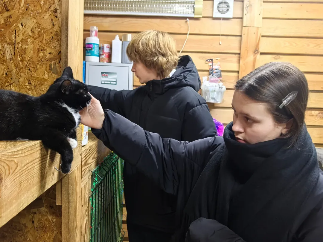 SnapInsta.to_602034865_18150385855441030_3316473379038644227_n