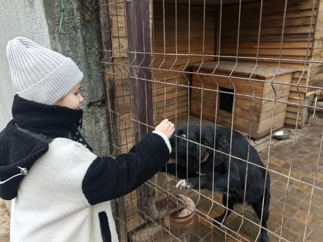 SnapInsta.to_602070067_18150385975441030_4306214909878535797_n