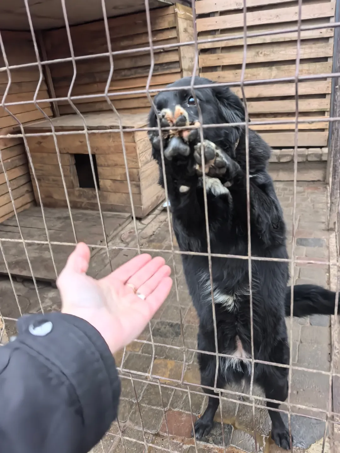 SnapInsta.to_602080105_18150385966441030_5270840013058439917_n