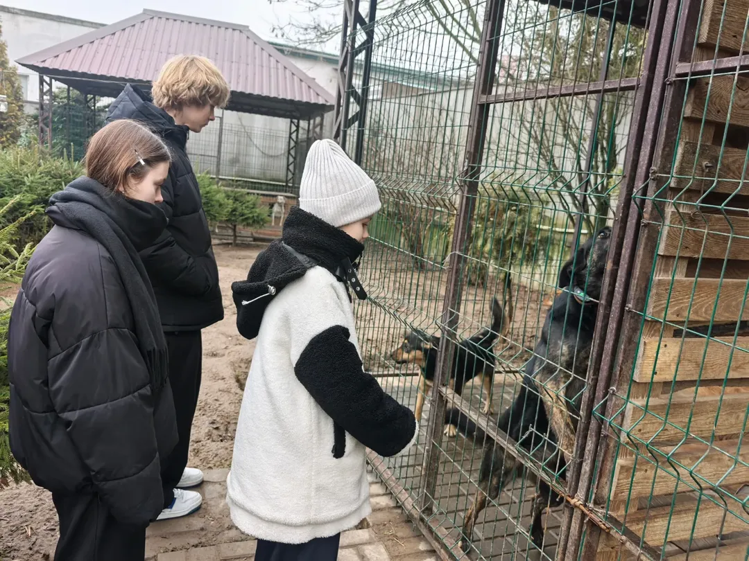 SnapInsta.to_602176458_18150386020441030_6906301064109342657_n