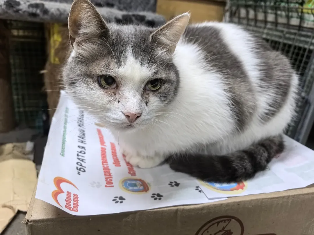 SnapInsta.to_602195126_18150385939441030_7410969402195418688_n