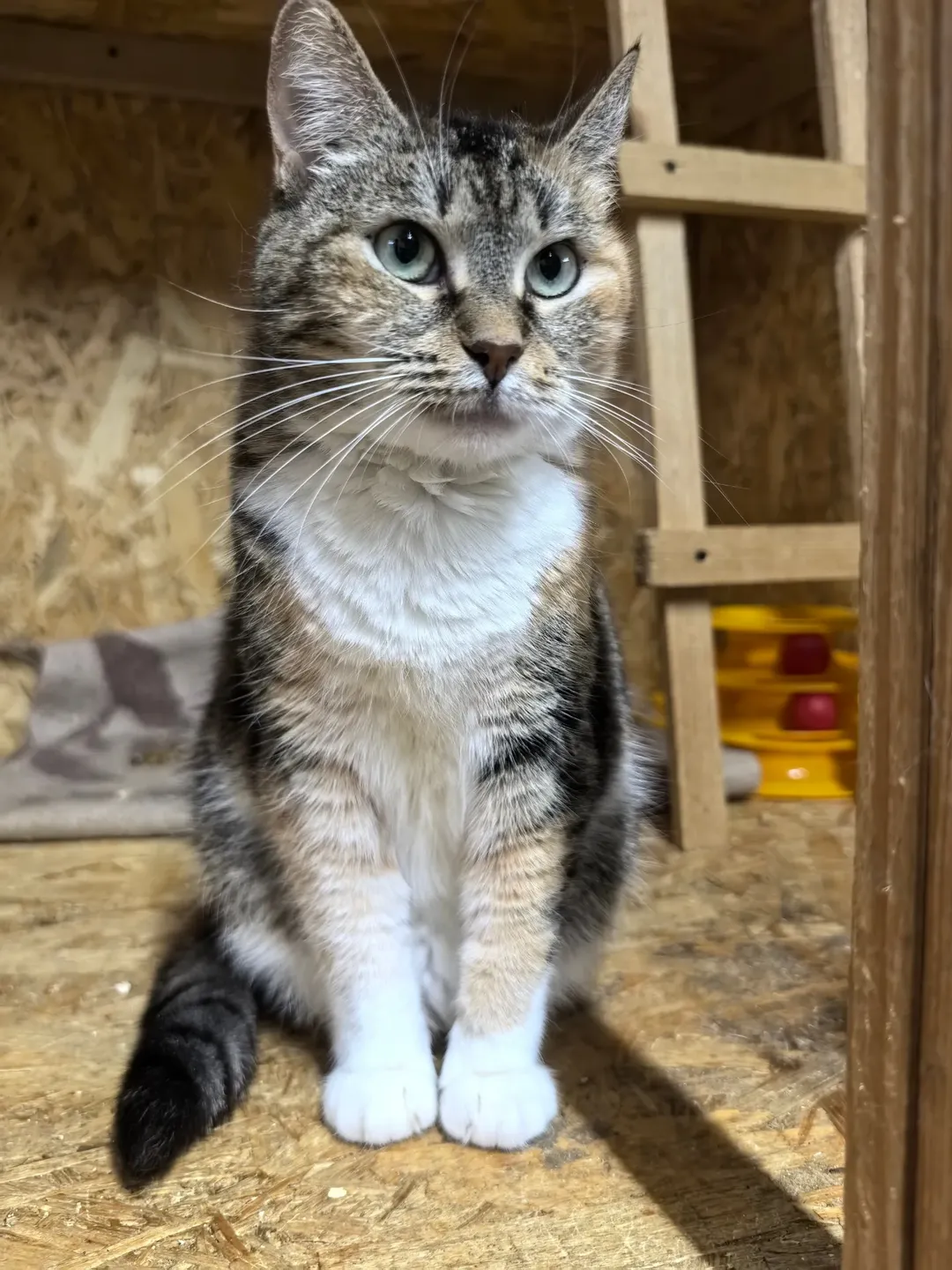 SnapInsta.to_602697432_18150385930441030_1321848651538022521_n