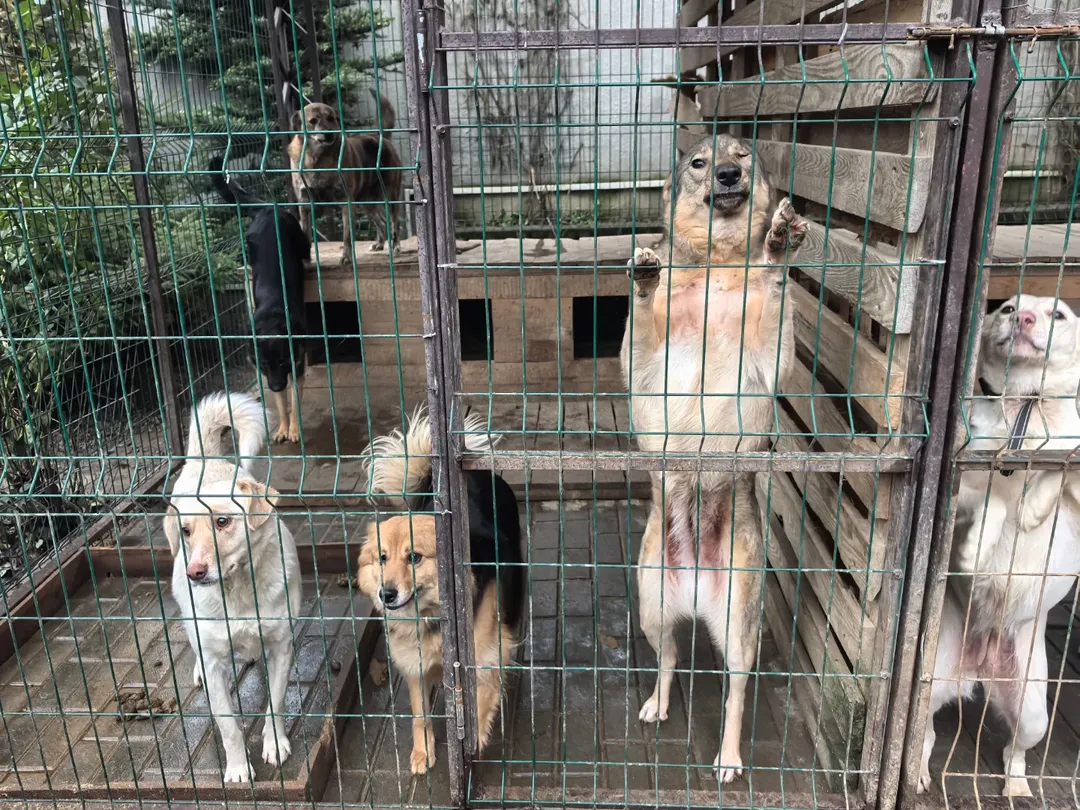 SnapInsta.to_603078517_18150386029441030_1212351812094960189_n