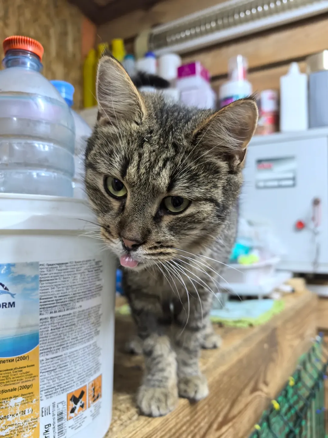 SnapInsta.to_603085798_18150385948441030_4046692503951234180_n