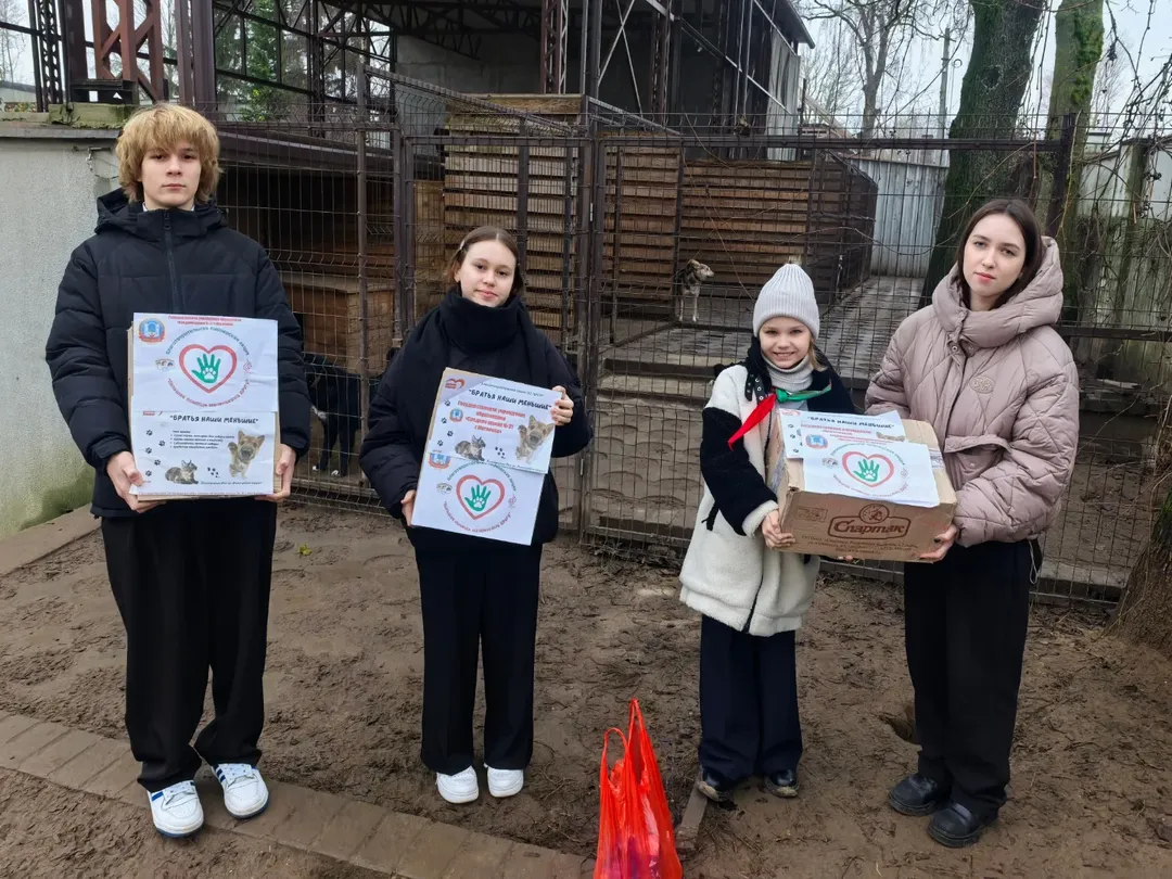 SnapInsta.to_603639541_18150386011441030_3734399156736385123_n