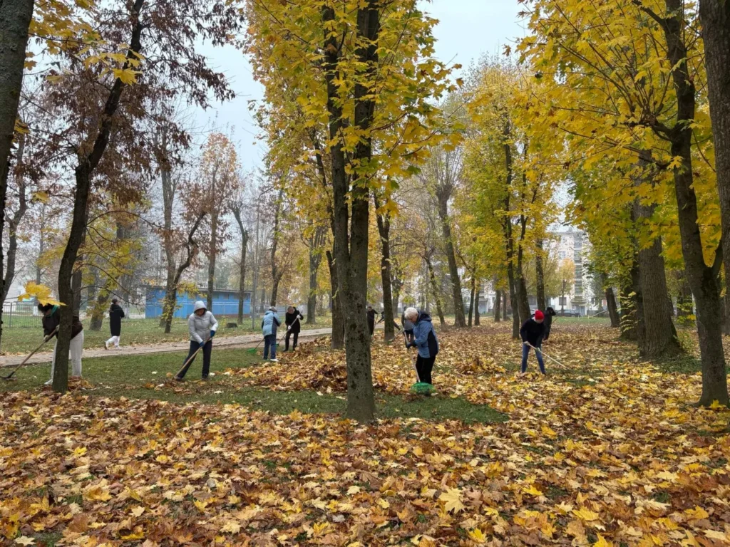 image_02