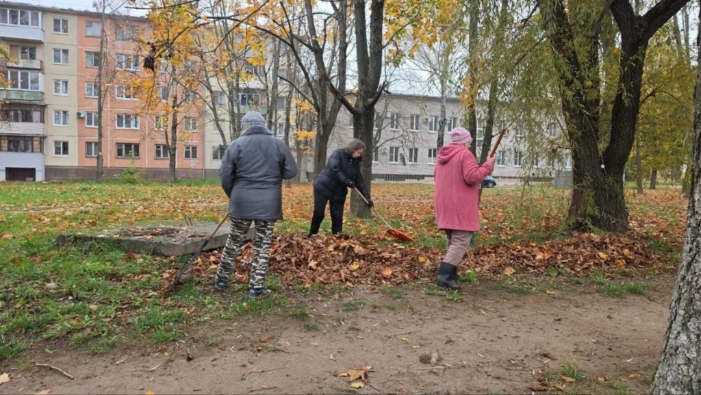 image_09